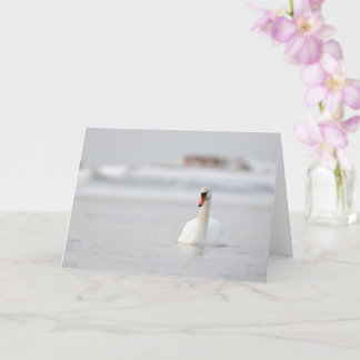 Mute swans swimming in ice water greetings card
