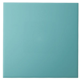 Muted Aqua Ceramic Tile