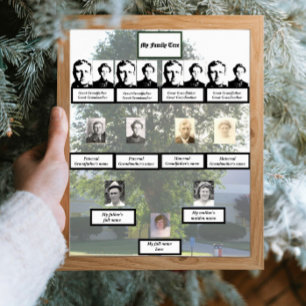 Muted Four-Generation Summertime Family Tree Photo Poster