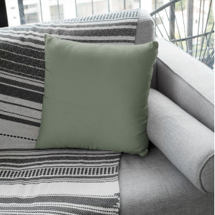 Muted Greenish Grey Cushion