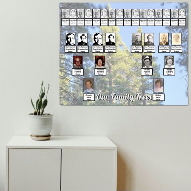 Muted Pine Tree Forest Photo with Two Family Trees Poster (Creator Uploaded)