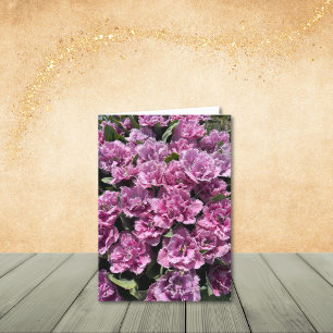 Muted Pinks, Fringed Tulips, Note Cards
