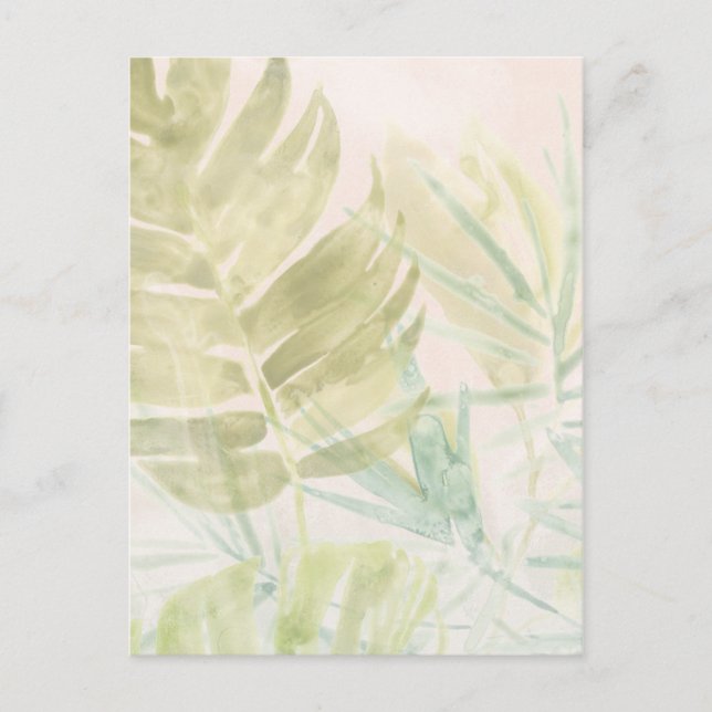 Muted Tropical Leaves Postcard (Front)