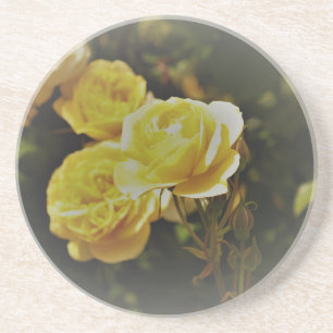 Muted Yellow Roses Sandstone Coaster