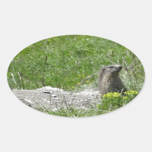 mutter oval sticker