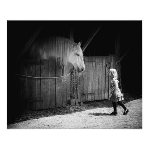 Mutual Curiosity Photo Print