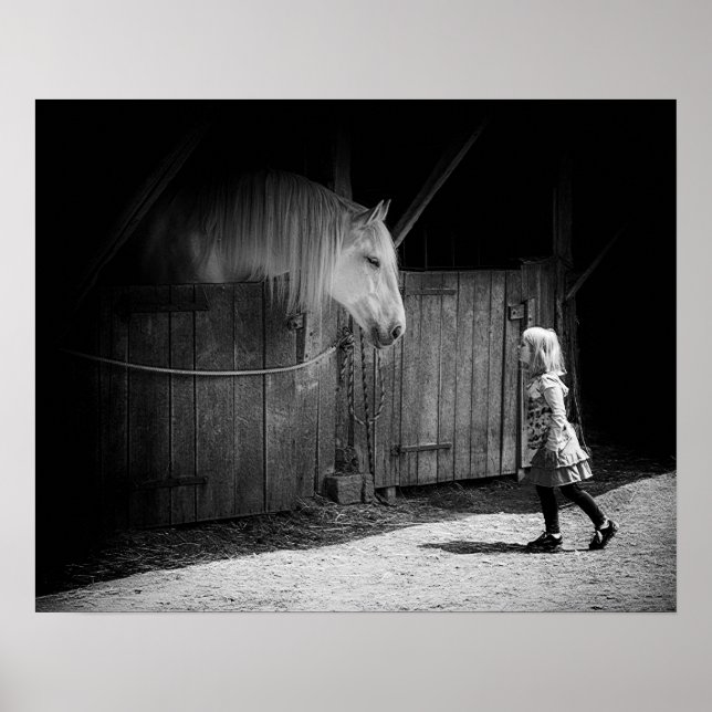 Mutual Curiosity Poster (Front)