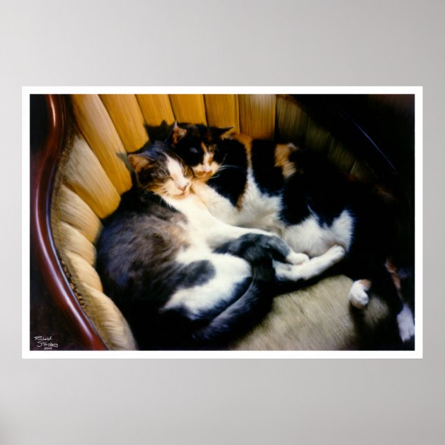 Mutual Support Poster (Front)