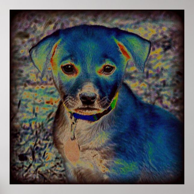 MVB Labrador Poster -Psychedelic Design (Front)