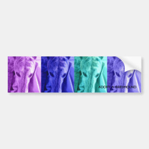 Mx4 design Adopt a Greyhound bumper sticker