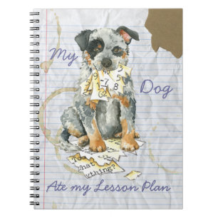 My ACD Ate My Lesson Plan Notebook