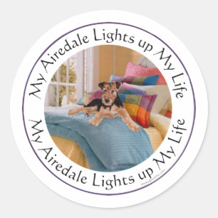 My Airedale Lights Up My Life Classic Round Sticker