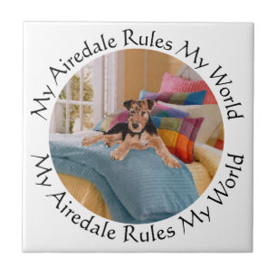 My Airedale Rules My World Ceramic Tile