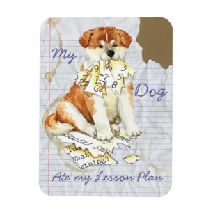 My Akita Ate My Lesson Plan Magnet