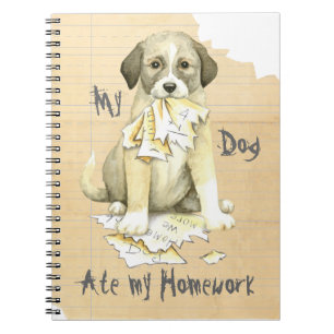 My Anatolian Ate my Homework Notebook