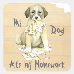 My Anatolian Ate my Homework Square Sticker