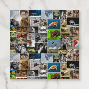 "My Animal Kingdom" Wild Animal Gift Tags