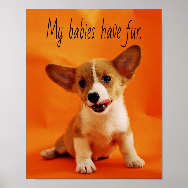 My babies have fur dog, cute puppies, puppy poster (Front)
