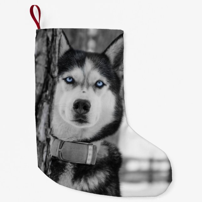 My Baby Blue Eyes Christmas Stocking (Front)