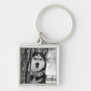 My Baby Blue Eyes Key Ring
