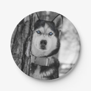 My Baby Blue Eyes Paper Plate