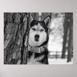 My Baby Blue Eyes Poster