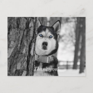 My Baby Blue Eyes Thank You Postcard