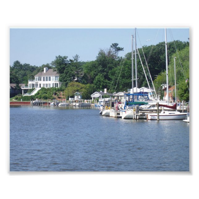 My Backyard Photo Print (Front)