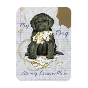 My Barbet Ate my Lesson Plan Magnet