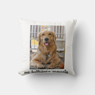 my beautiful pet cushion