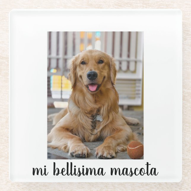 my beautiful pet glass coaster (Front)