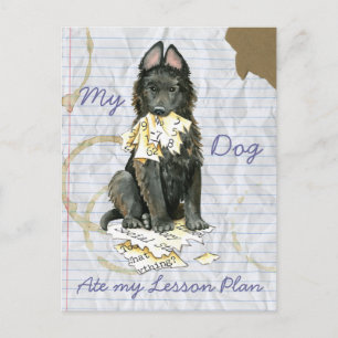 My Belgian Sheepdog Ate My Lesson Plan Postcard