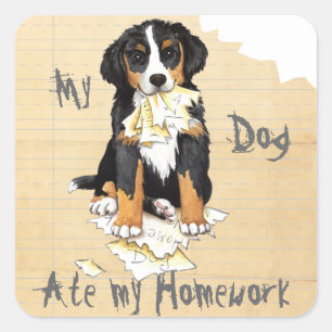 My Berner Ate My Homework Square Sticker