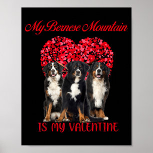 My Bernese Mountain Is My Valentine Dog Lover Vale Poster
