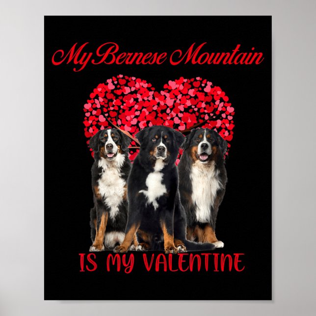 My Bernese Mountain Is My Valentine Dog Lover Vale Poster (Front)