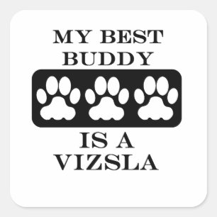 My Best Buddy is a Vizsla Square Sticker