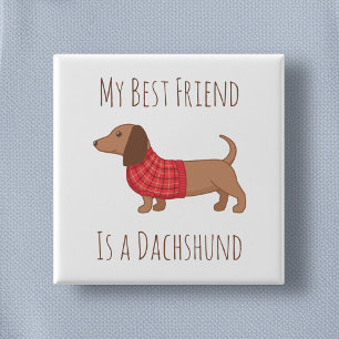 My Best Friend Dachshund Wiener Dog Red Sweater 15 Cm Square Badge
