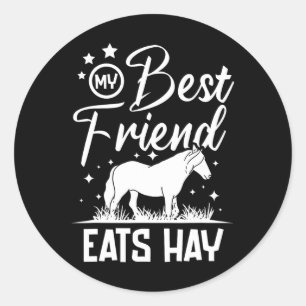 My Best Friend Eats Hay Classic Round Sticker
