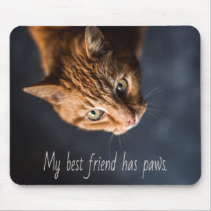 My best friend has paws, Cat Kitten Cute Mouse Pad