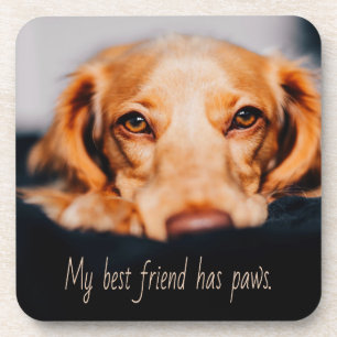 My Best friend has paws dog, Puppy Meme Coaster
