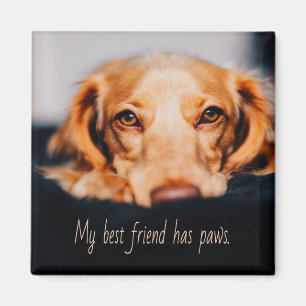 My Best friend has paws dog, Puppy Meme Magnet