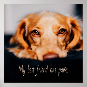 My Best friend has paws dog, Puppy Meme Poster