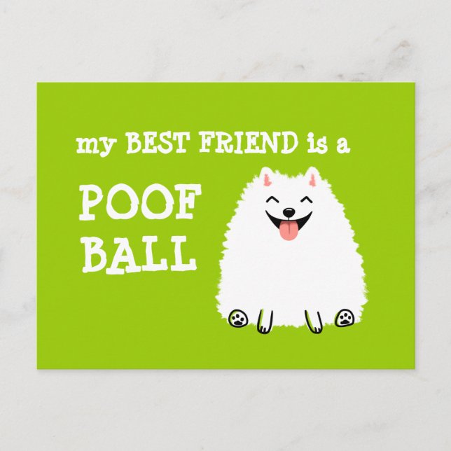 My Best Friend is a Poof Ball - Funny Pomeranian Postcard (Front)
