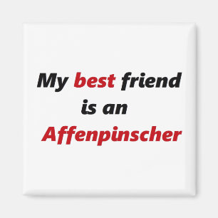 My best friend is an Affenpinscher Magnet