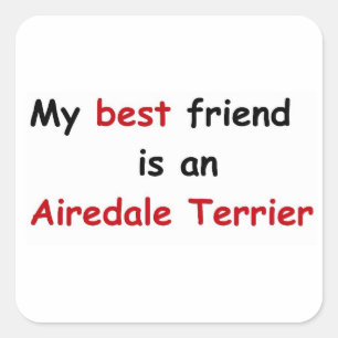 My best friend is an Airedale Terrier Square Sticker