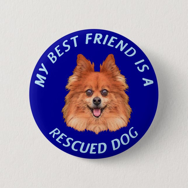 My Best Friend (Pomeranian) 6 Cm Round Badge (Front)