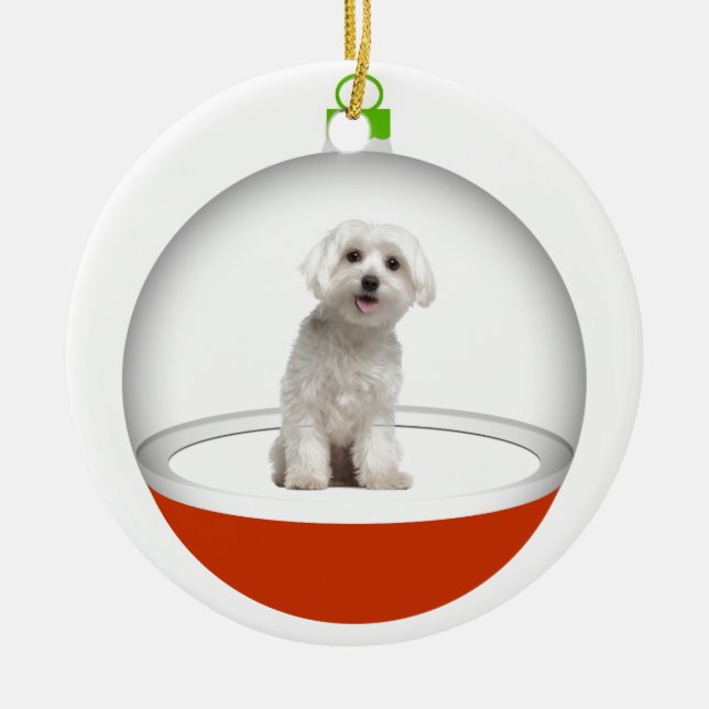 My Best Friend - SRF Ceramic Tree Decoration (Front)