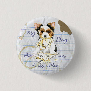My Biewer Terrier Ate my Lesson Plan Button