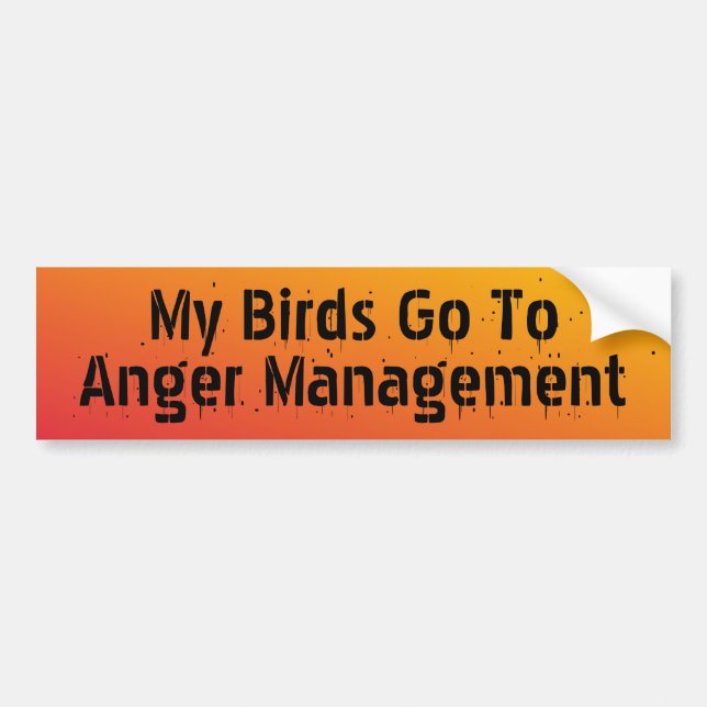 My Birds go to anger management Bumper Sticker (Front)