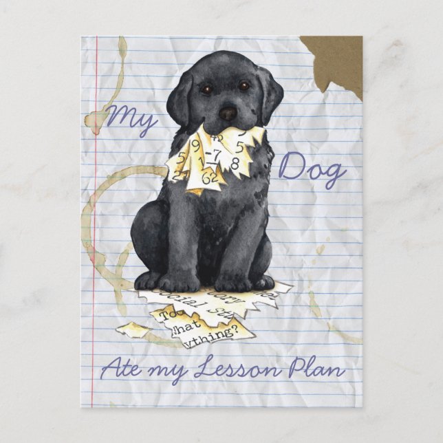My Black Lab Ate My Lesson Plan Postcard (Front)